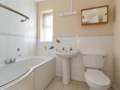 Picture 11